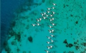 Club Med : vol à 1 euro pour la 2ème personne Club Med : vol à 1 euro pour la 2ème personne