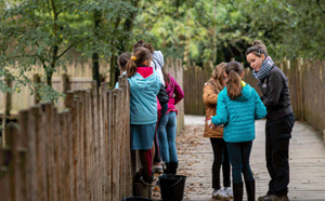 Planète Sauvage, près de Nantes, invite les jeunes à devenir "Apprenti soigneur"