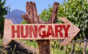 Hongrie : quel protocole pour les voyageurs ?