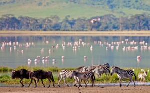 Voyage Tanzanie : quelles conditions d'entrée ?