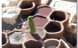 Le Maroc s’invite dans le capital de TUI Le Maroc s’invite dans le capital de TUI