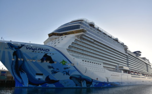 Norwegian Cruise Line : vers la fin des émissions de gaz à effet de serre ?