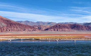 Lumière sur les trésors cachés de l'Altiplano Argentin ! 