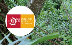 Parc amazonien de Guyane 