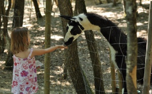 AnimaParc Occitanie développe ses attractions et déploie sa stratégie