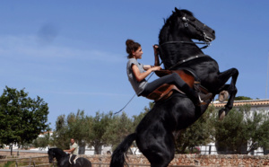 Voyages Vert Vous - Minorque : Une histoire d'équidés en Méditerranée Voyages Vert Vous - Minorque : Une histoire d'équidés en Méditerranée