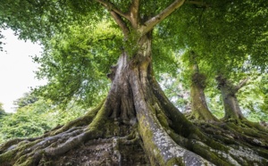 Tourisme durable : Grand Angle décroche le label Europarc