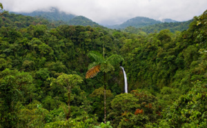 Les 7 meilleures raisons de visiter le Costa Rica en saison verte