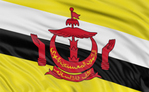 La case de l'Oncle Dom : vol au-dessus d'un nid de Brunei...