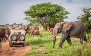 Savanna Tours &amp; Safaris vous donne rendez-vous à l’IFTM Top Resa, inscrivez-vous à l’éductour Sénégal 