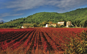 La Catalogne en escapades œnologiques et gastronomiques