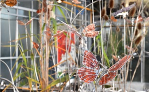 Vive émotion à Nantes, l’Arbre aux hérons n’ira(it) pas à son terme