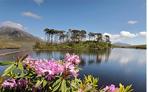 Découvrez les départs garantis Irlande & Ecosse 2024 d’Abbey Ireland & UK Découvrez les départs garantis Irlande & Ecosse 2024 d’Abbey Ireland & UK