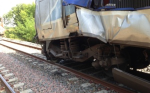 Pyrénées Atlantiques : un TER percute un TGV, des dizaines de blessés
