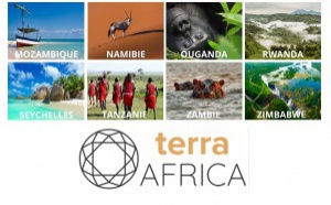 Terra Africa : des safaris qui font la différence