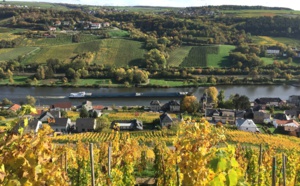 Œnotourisme : les trésors de la Vallée de la Moselle