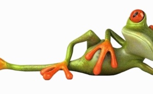 La case de l'Oncle Dom : Fram et le syndrome de la Grenouille…
