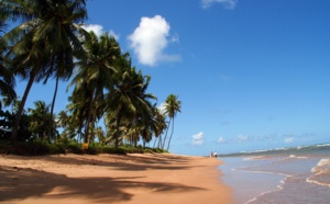 La case de l'Oncle Dom : garantir la garantie pour garantir les consommateurs... La case de l'Oncle Dom : garantir la garantie pour garantir les consommateurs...