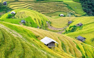 VIETNAM : À travers les provinces du Nord-Ouest