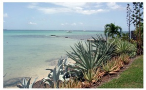 Ouragan Dean : La Martinique sera fin prête pour la haute saison ! Ouragan Dean : La Martinique sera fin prête pour la haute saison !