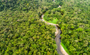 Convention EDV d’Ile-de-France en Guyane :  voyage en terre méconnue