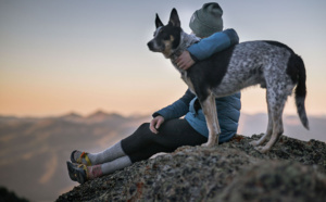 Quelles sont vos options lorsque vous voyagez avec un animal de compagnie ?