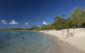 Digital : comment les Îles de Guadeloupe aident les agences à mieux vendre l'archipel ?