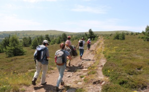 Cévennes : voyage en itinérance avec un âne, sur le chemin Stevenson