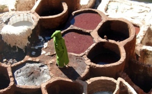 Au Maroc, tout est calme, luxe et volubilis… sans fous poilis !