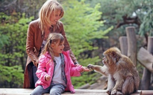 Alsace : plus de 307 000 visiteurs pour la Montagne des Singes en 2014