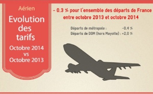 Transport aérien : légère baisse des tarifs au départ de France en octobre 2014