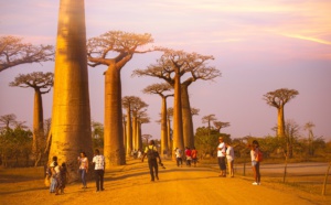 E-visa Madagascar : les touristes peuvent de nouveau demander un e-Visa pour voyager à Madagascar | Nok Lek Travel Lifestyle / Shutterstock.com
