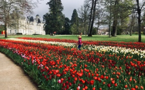 Château de Cheverny : un "Keukenhof à la française"