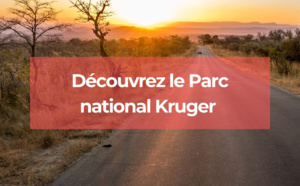 Découvrez le Parc national Kruger en Afrique du Sud