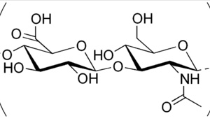 L’acide hyaluronique : recette magique pour une cure de jouvence L’acide hyaluronique : recette magique pour une cure de jouvence