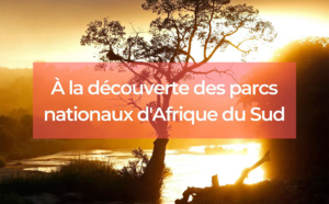 Les parcs nationaux d'Afrique du Sud : une immersion sauvage à ne pas manquer