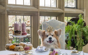 L’Angleterre royale, industrielle ou culturelle pour vos groupes  avec Abbey Ireland & UK L’Angleterre royale, industrielle ou culturelle pour vos groupes  avec Abbey Ireland & UK