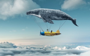 Avion sobre : voici venu le temps du Macron ultra vert !🔑 Avion sobre : voici venu le temps du Macron ultra vert !🔑