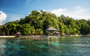 Sulawesi : Un joyau caché de l'Indonésie Sulawesi : Un joyau caché de l'Indonésie