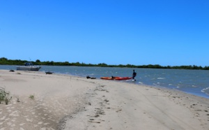 La Camargue en kayak sur le Rhône