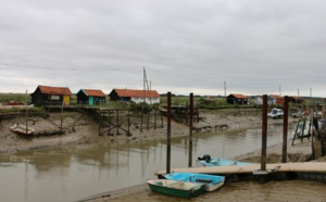 Le bassin de Marennes à vélo