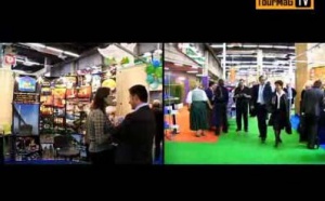 MIT International : le zapping des nouveautés MIT International : le zapping des nouveautés