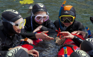 Séjours snorkeling, plongée : Dune se déploie en France et à l'international