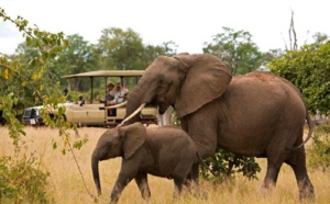 Sanctuary Retreats : séjour gratuit pour les moins de 16 ans en Afrique de l'Ouest