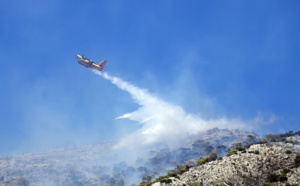 Incendies Grèce, Tenerife : quelles conséquences pour les voyageurs ? 🔑