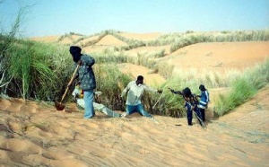 Aérien : 8 euros par passager pour reboiser le Sahel !