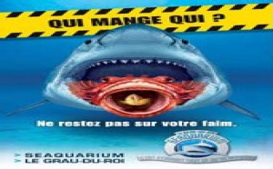Grau du Roi : bientôt un 'Requinarium' au Seaquarium