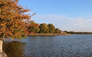 Voyage en pleine nature, dans le Parc naturel régional de la Brenne