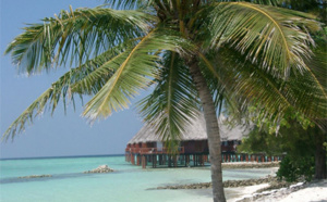 Manifestations aux Maldives : enregistrez-vous une baisse des demandes ?