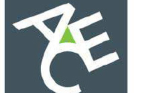 Assurances : ACE Groupe partenaire de Transavia